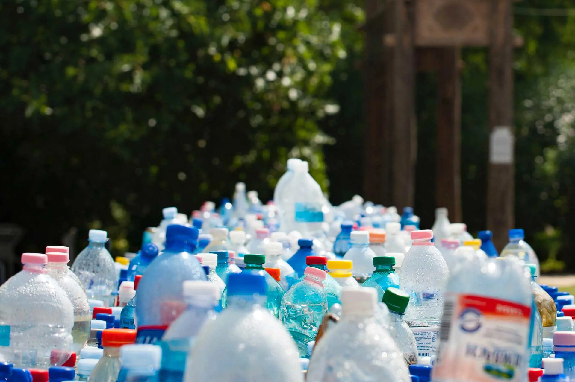 abfall-container-plastik-flaschen-entsorgen