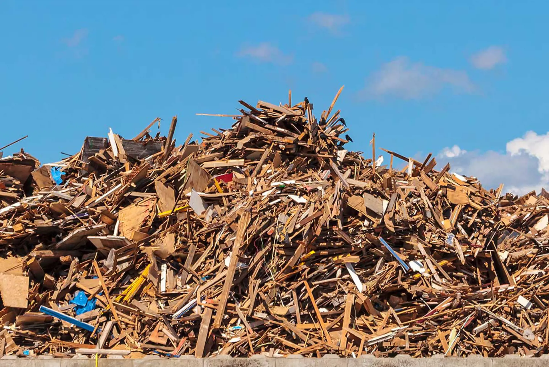 Altholz und Holz entsorgen mit Abfall Service online