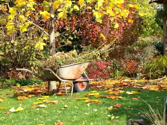 gartenabfaelle_gruenschnitt_strauchschnitt_baumschnitt_laub_aeste_einfach_entsorgen_abfall_service_online
