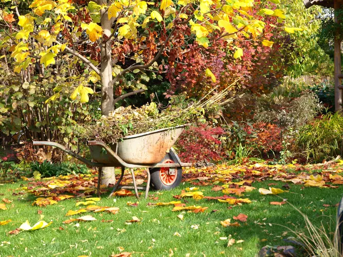 Herbstschnitt im Garten und die korrekte Abfallentsorgung