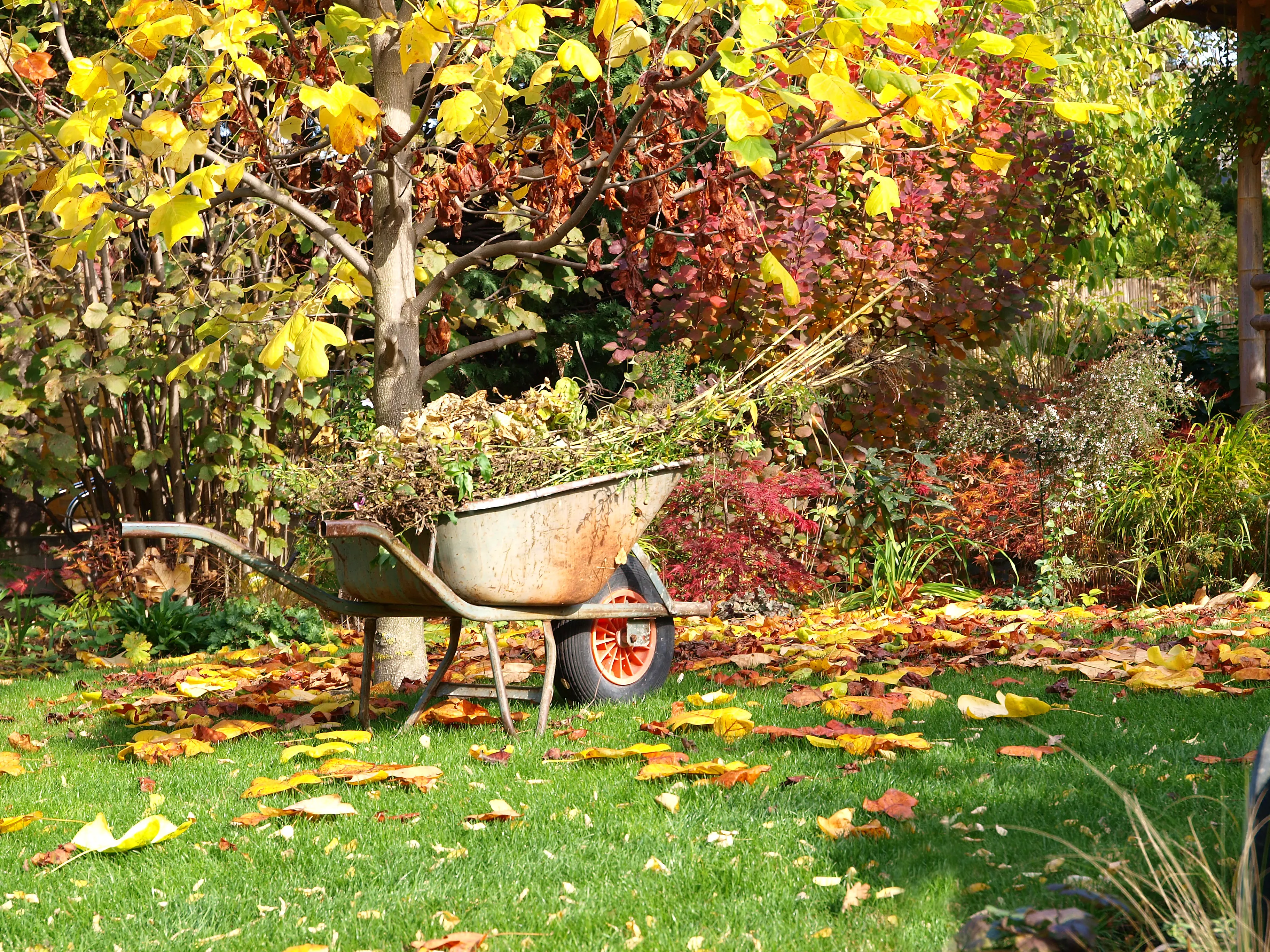 Gartenabfaelle und Herbstschnitt einfach entsorgen