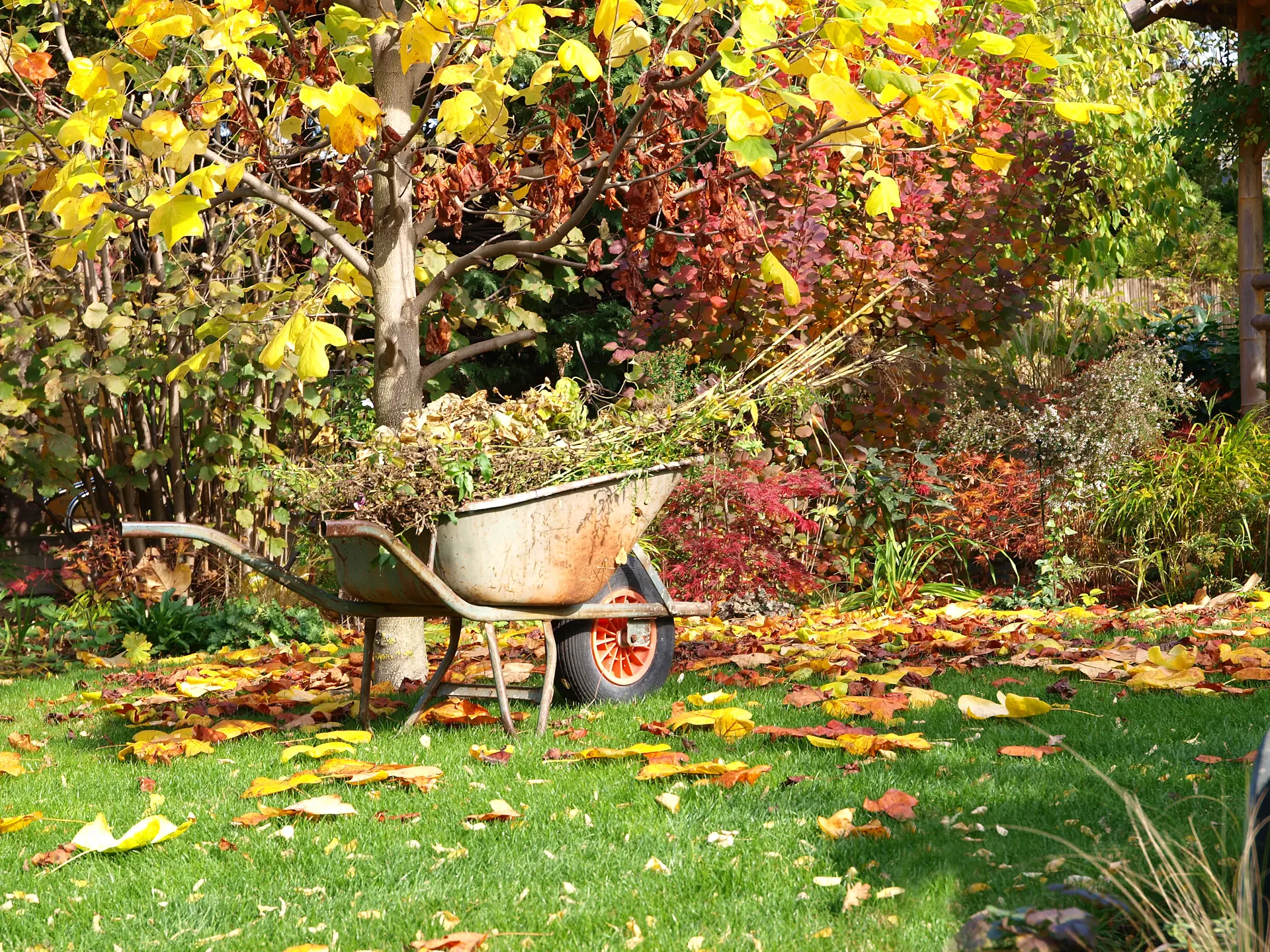 Herbstschnitt im Garten und die korrekte Abfallentsorgung