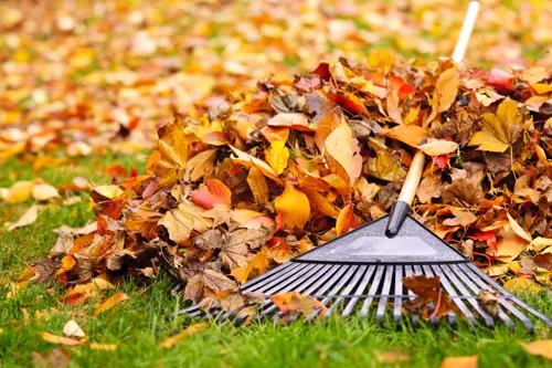 11 Tipps und Tricks für die Wintervorbereitung ihres Gartens